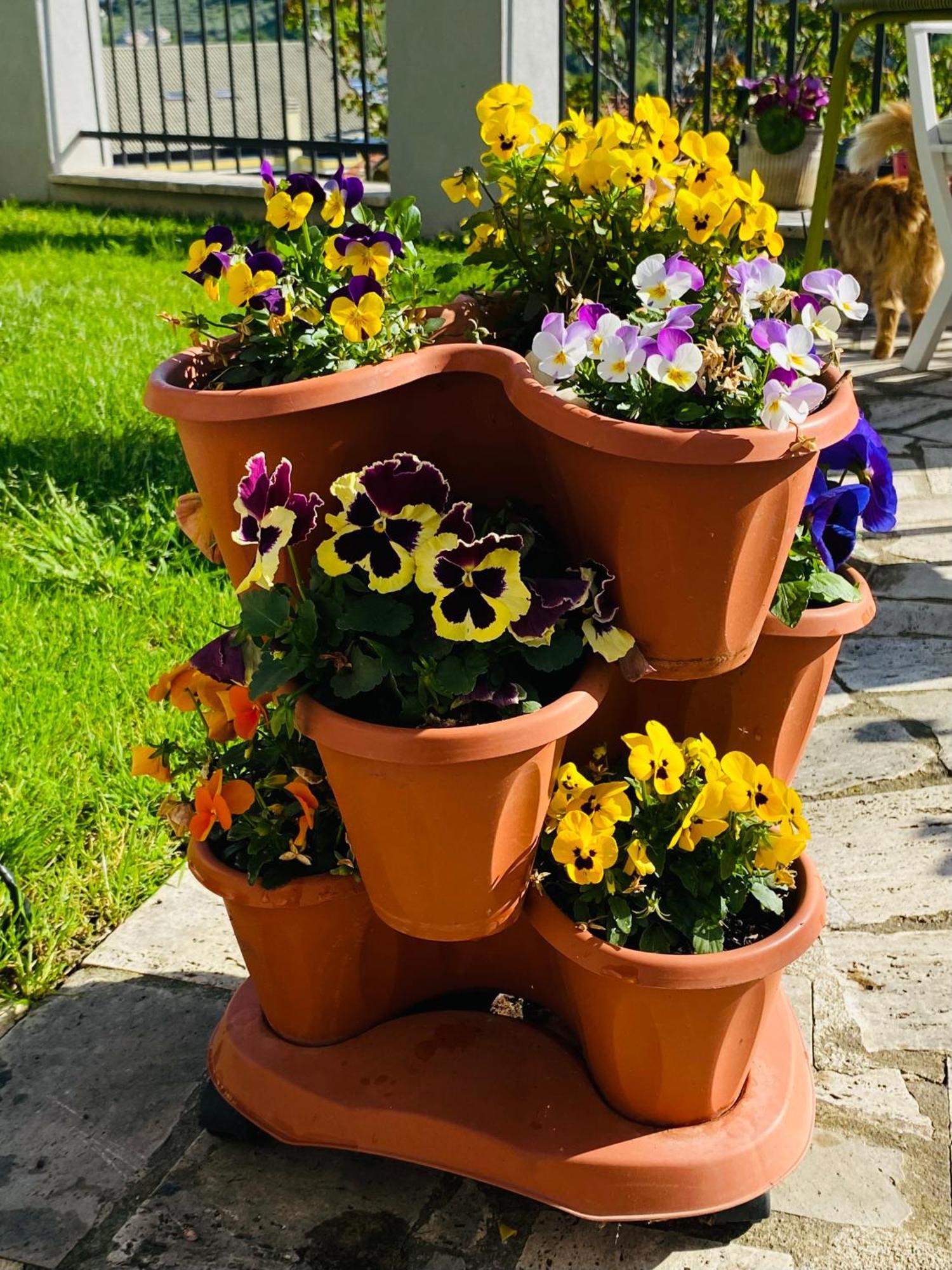 Dimora Il Campanile Panzió Chieti Kültér fotó